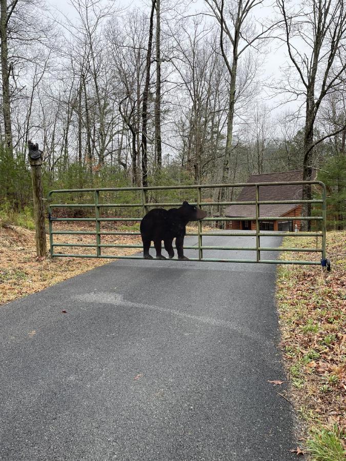 Great Smoky Mountains Cabin!, Secluded, Pet-Kid Friendly! Sevierville Kültér fotó